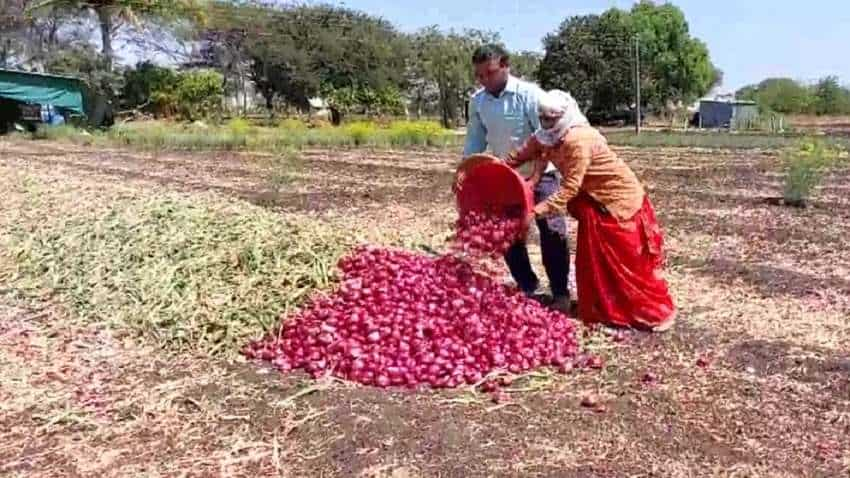 Onion Price: एशिया की सबसे बड़ी प्याज मंडी में प्याज की नीलामी बंद, कीमतों में गिरावट से किसान नाराज