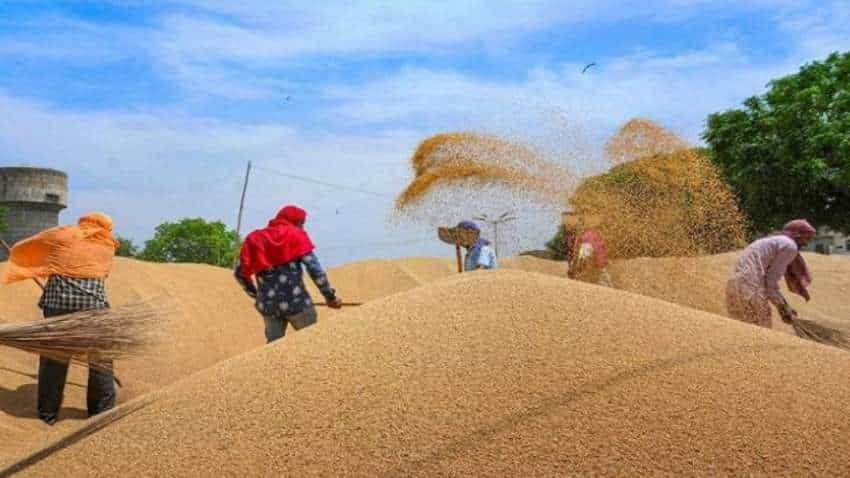 बेमौसम बारिश से गेहूं फसल को 20 लाख टन तक नुकसान संभव, अब तक 7 लाख तक खरीद चुकी है सरकार