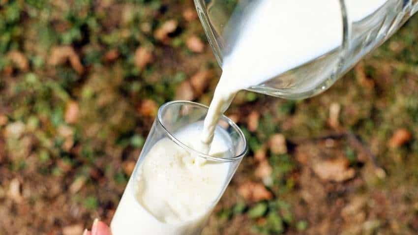 यूपी के दूध उत्पादों की ब्रांडिंग के लिए योगी सरकार ने किया बड़ा ऐलान, तीन साल तक मिलेंगे ₹20 लाख