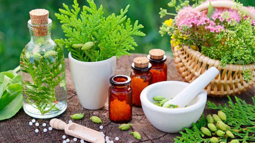 World Homeopathy Day: क्यों मनाते हैं विश्व होम्योपैथी दिवस और क्या है इसका इतिहास? जानें इस साल की थीम