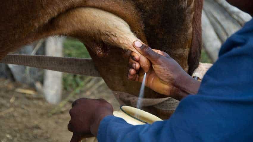 खुशखबरी! किसानों से 100 रुपये लीटर की दर से दूध खरीदेगी सरकार, शुरू करेगी हिम गंगा योजना