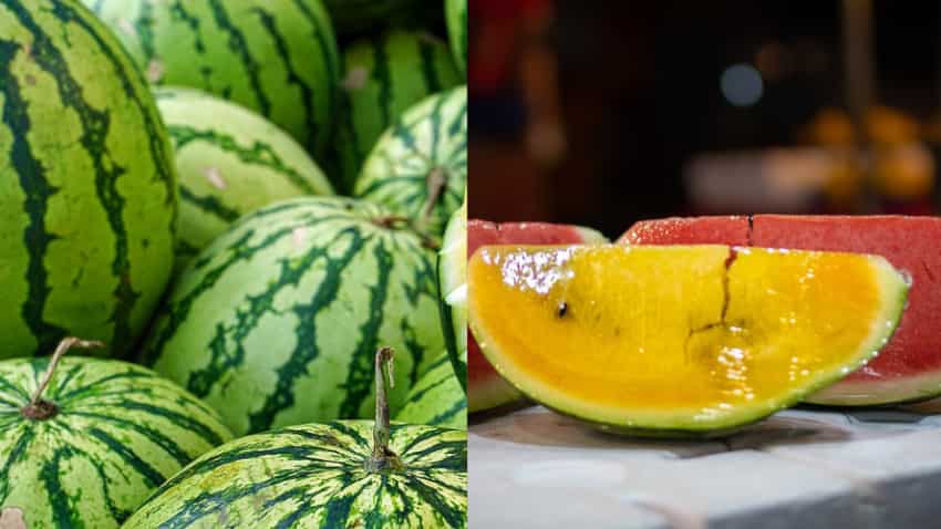 Yellow Watermelon: लाल नहीं, अब पीले तरबूज की चर्चा...'डेजर्ट किंग' के नाम से है मशहूर, जानिए इसकी खासियत