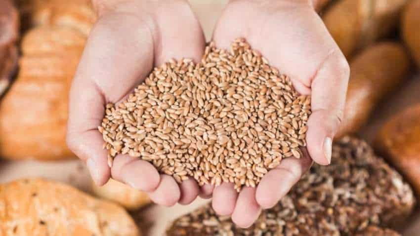 Wheat Procurement: पंजाब की मंडियों में गेहूं की आवक 1 करोड़ टन के पार, गेहूं खरीद अंतिम चरण में पहुंची