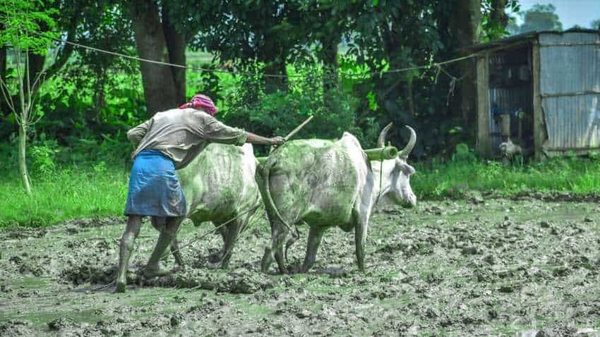 पंजाब सरकार का बड़ा फैसला, खेतिहर मजदूरों को मिलेगा फसल नुकसान  मुआवजे का 10%, जानिए पूरी डीटेल