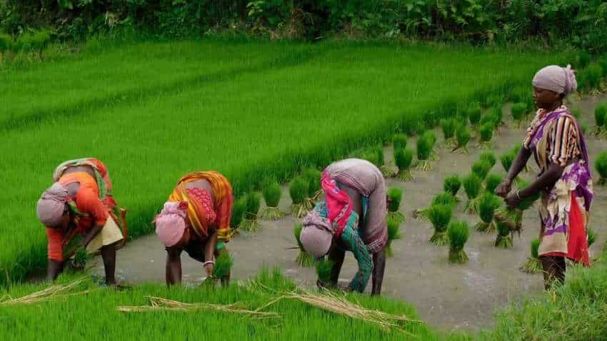 खुशखबरी! आज लॉन्च होगा Kisan Rin Portal, किसानों को सब्सिडी वाला लोन लेना होगा और आसान