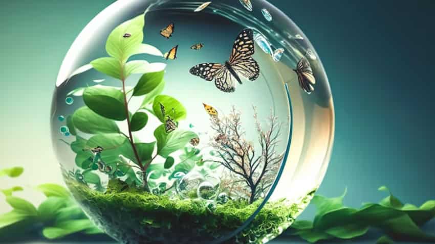 World Environmental Health Day 2023: क्यों सेलिब्रेट किया जाता है ये दिन, क्या है इसका उद्देश्य, इतिहास और थीम World Environmental Health Day 2023: क्यों सेलिब्रेट किया जाता है ये दिन, क्या है इसका उद्देश्य, इतिहास और थीम