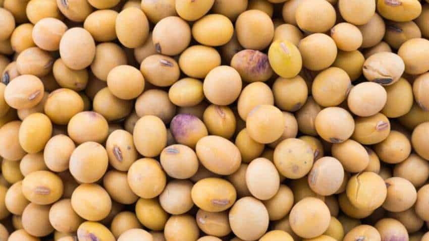 Yellow Peas Import: पीली मटर के आयात पर सरकार का बड़ा फैसला, तत्काल प्रभाव से लागू, जानिए पूरी डीटेल