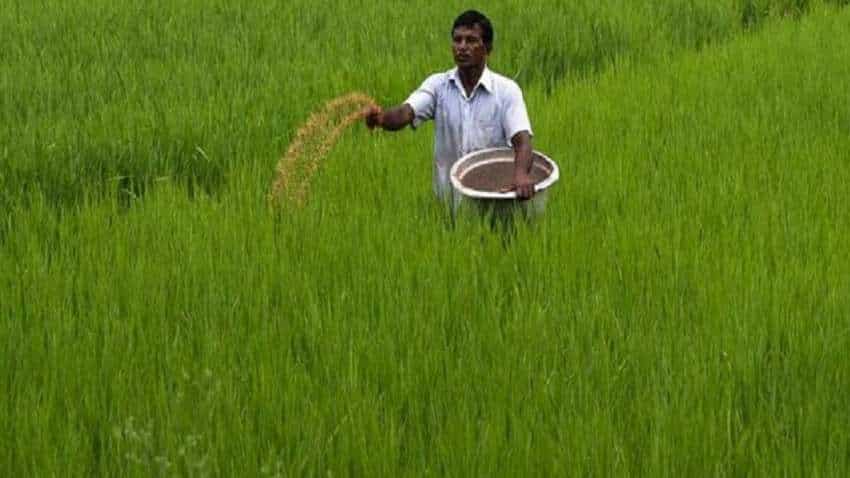 Fertilizer Subsidy- खरीफ सीजन के लिए मोदी सरकार का बड़ा फैसला,24 हजार करोड़  रुपए की खाद्य सब्सिडी को दी मंजूरी - Fertilizer Subsidy details | Zee  Business Hindi