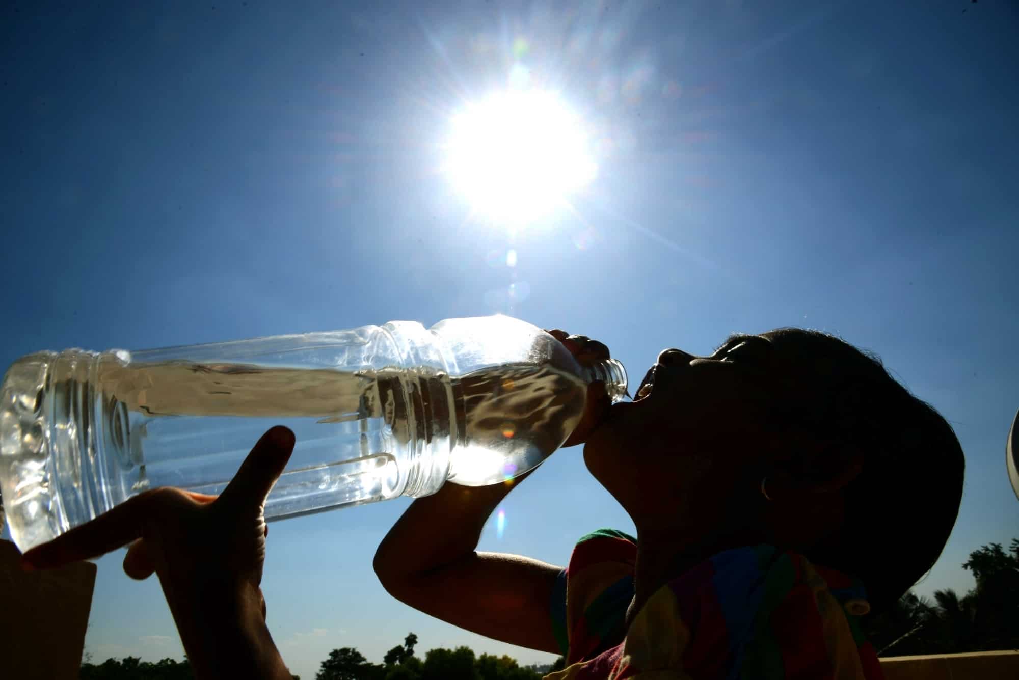 Global economies could shrink drastically by mid-century due to water scarcity: World Bank