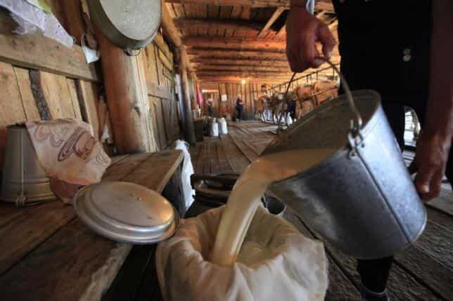 Amul to invest Rs 2,500 crore to raise milk processing capacity