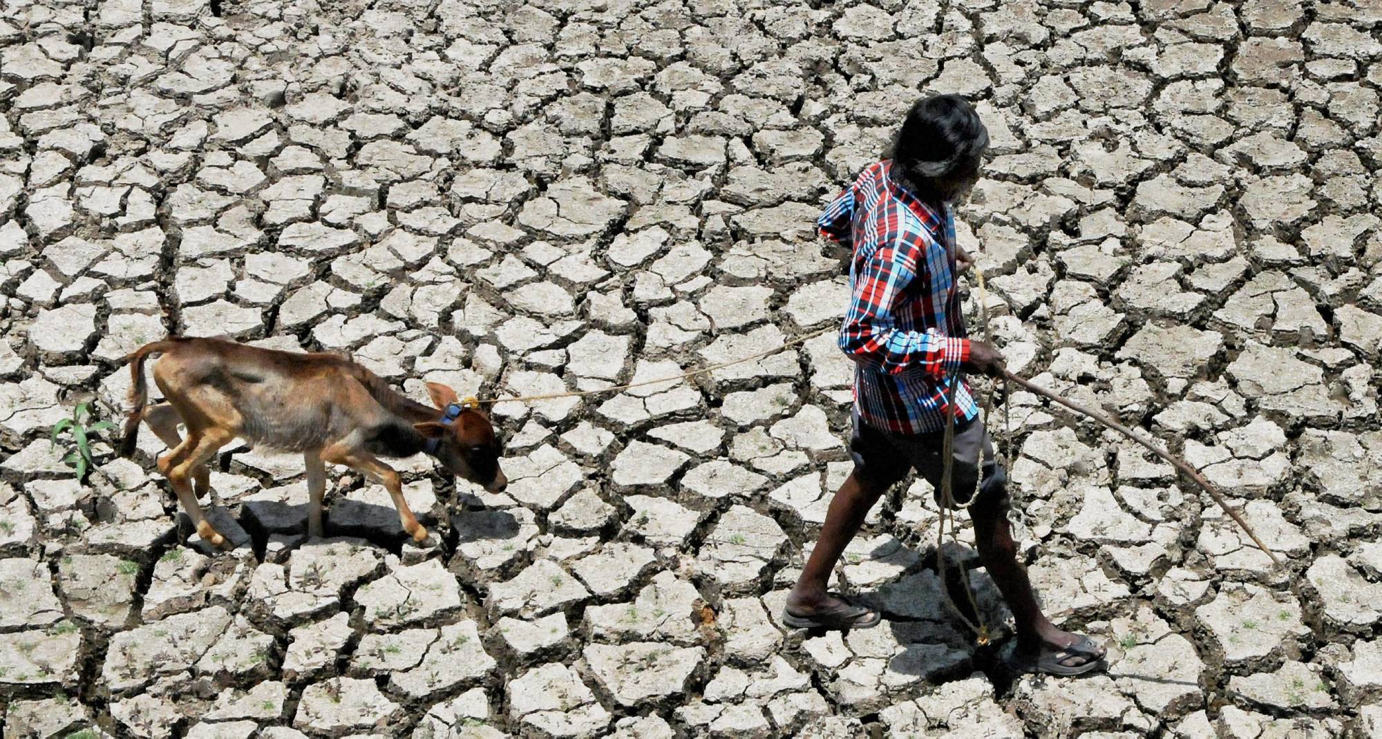 Supreme Court slams authorities over ''ostrich-like'' attitude to drought