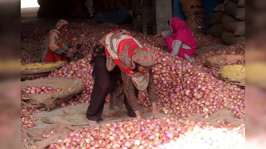 Onion conundrum: Farmers now want Fadnavis to raise prices