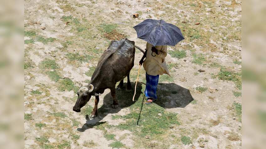 Strongest El Nino in nearly 20 years ends: Australian weather bureau