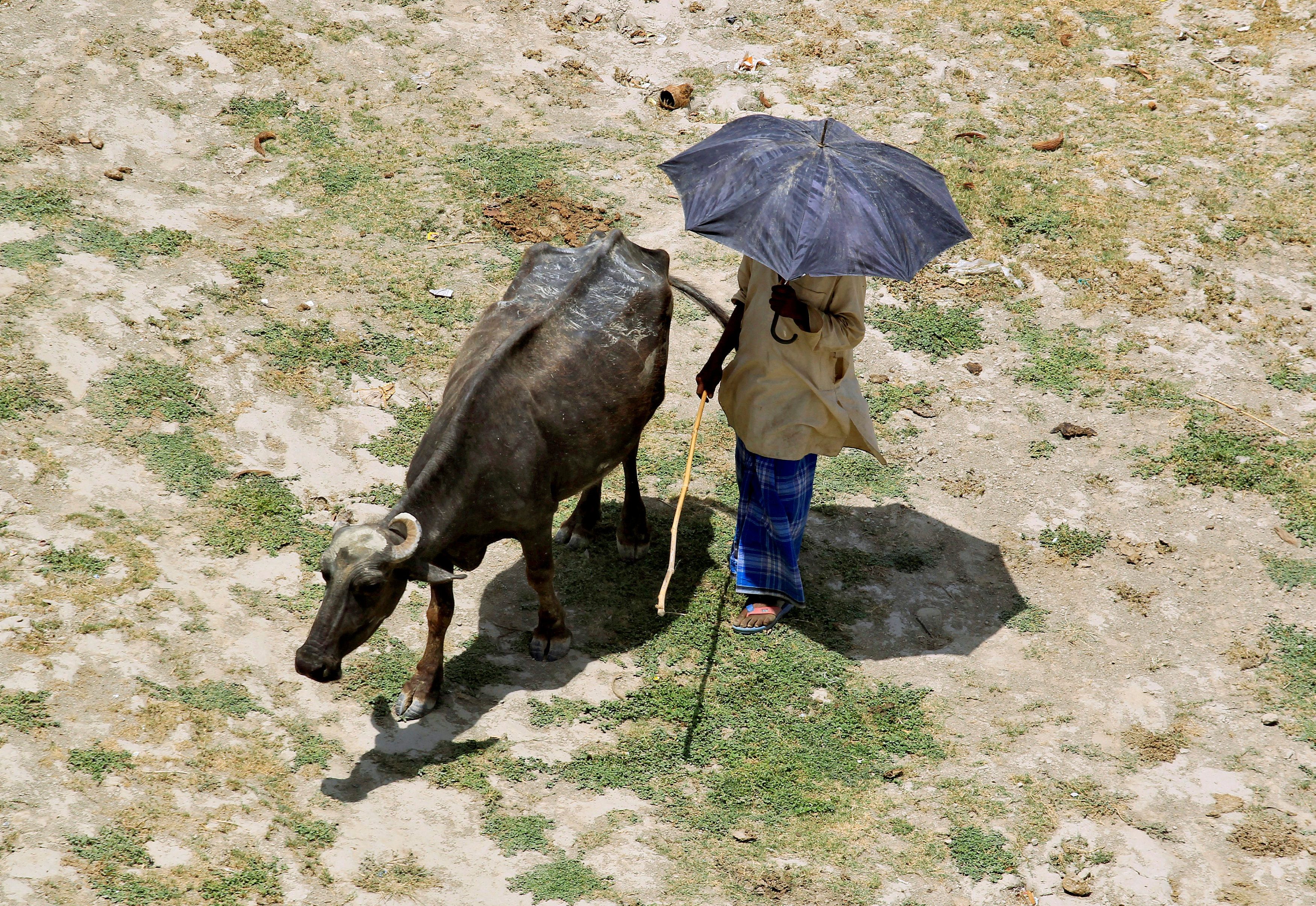 Strongest El Nino in nearly 20 years ends: Australian weather bureau
