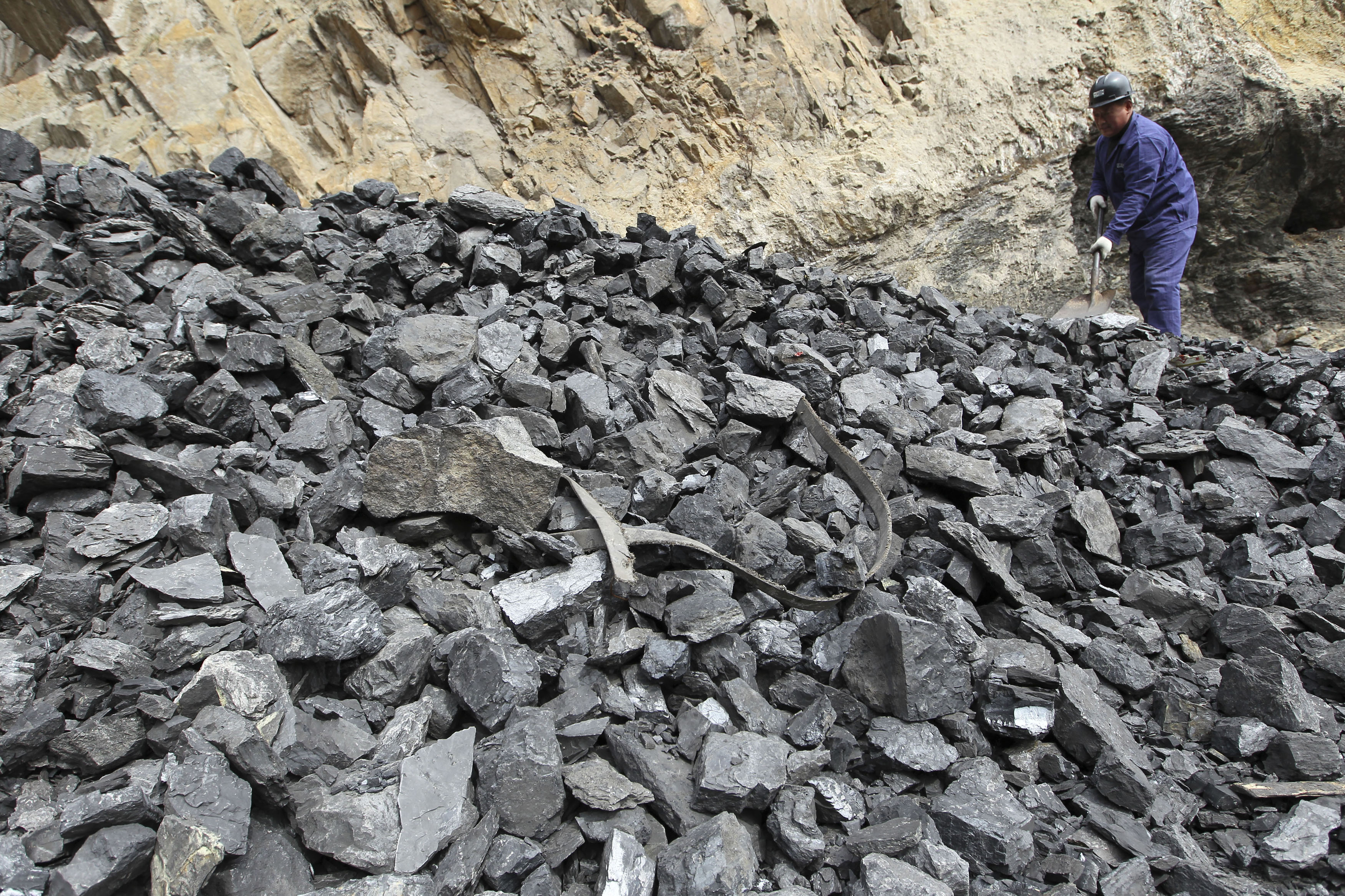 Coal India shares climb 4% on price hike and marginal rise in Q4 results