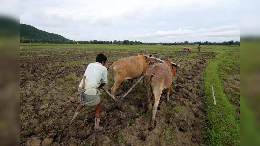 'Go slow' on sowing, MET advises farmers in Maharashtra as monsoon gets delayed