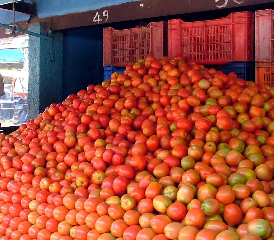 Price crosses Rs 100 but online grocery websites sell tomatoes for cheap