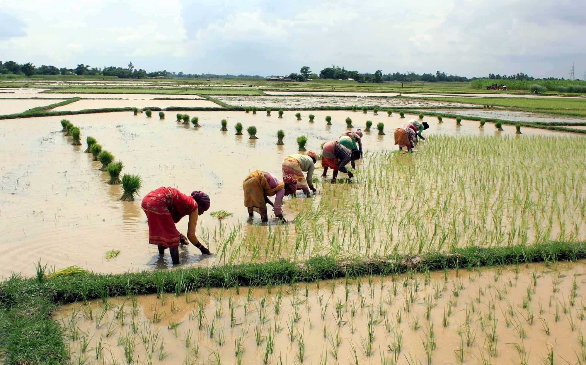 How to control inflation? Centre asks states to remove taxes on essential food items