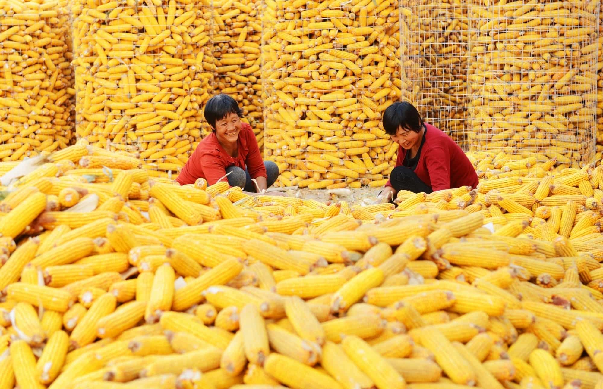 China's official manufacturing PMI drops in July