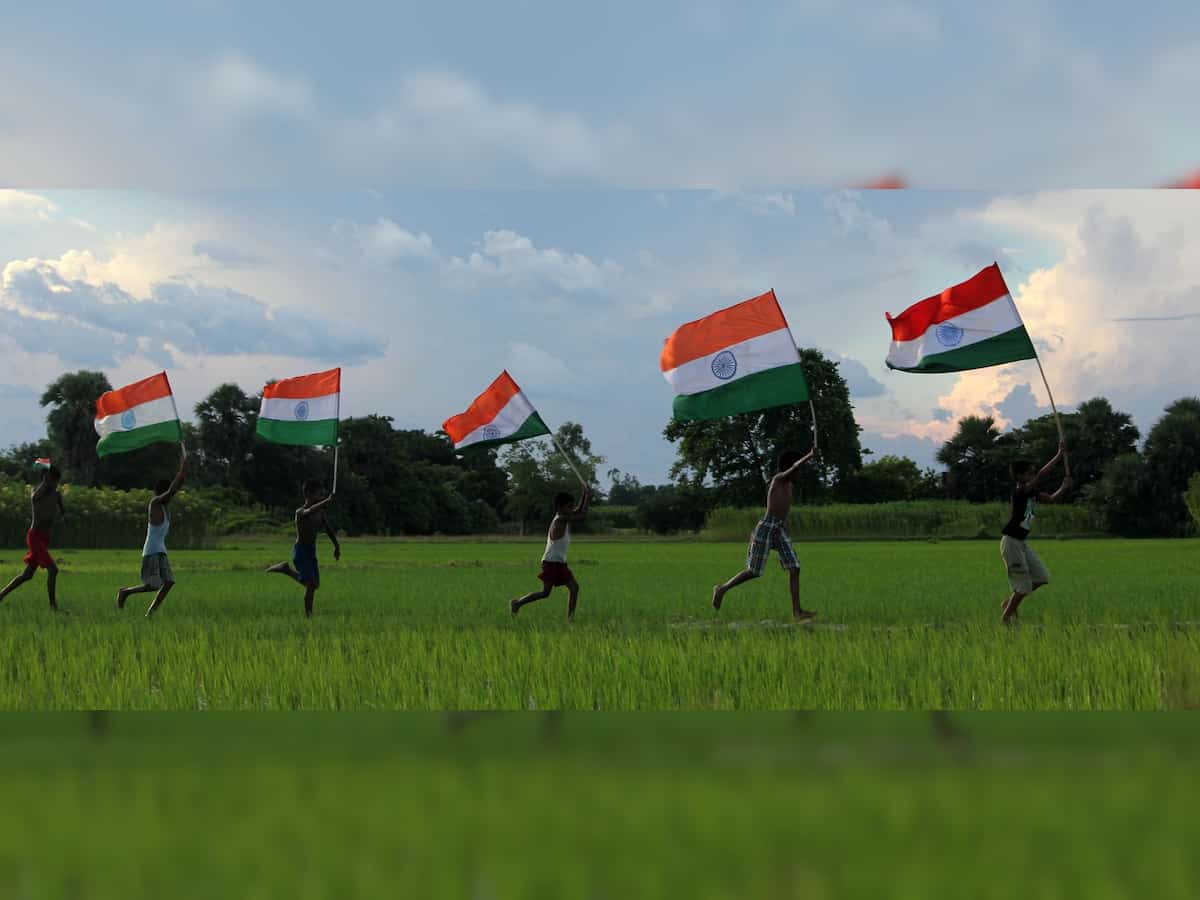 Ecommerce companies gear up to celebrate Independence Day