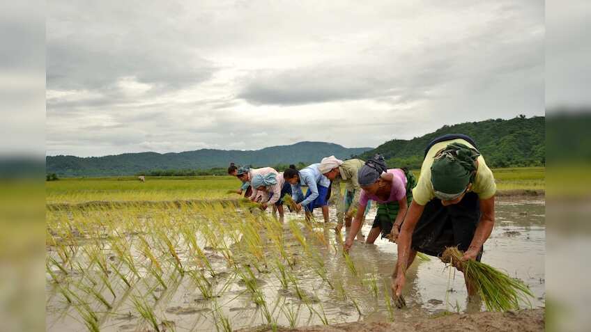 Niti Aayog may replace MSP with payment system to benefit farmers