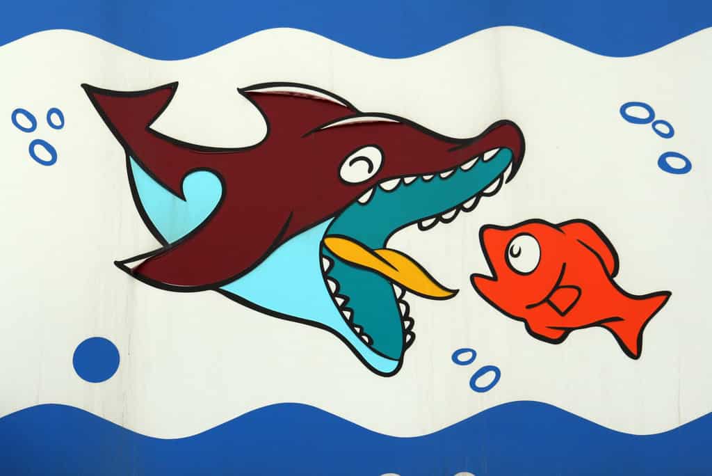 Death by acquisition: Here's how ecommerce firms plan to kill competition