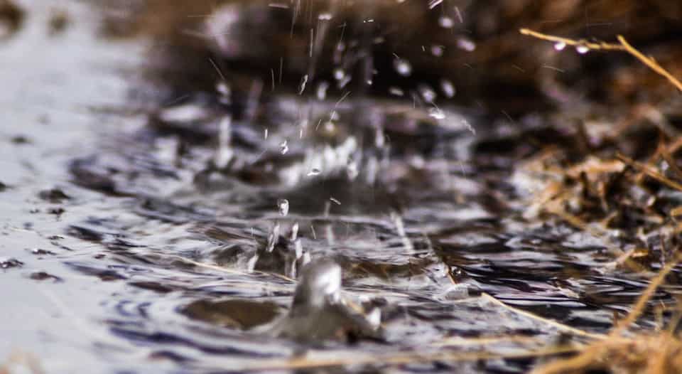 India sees 27% below normal rainfall this week; 2% deficit this monsoon