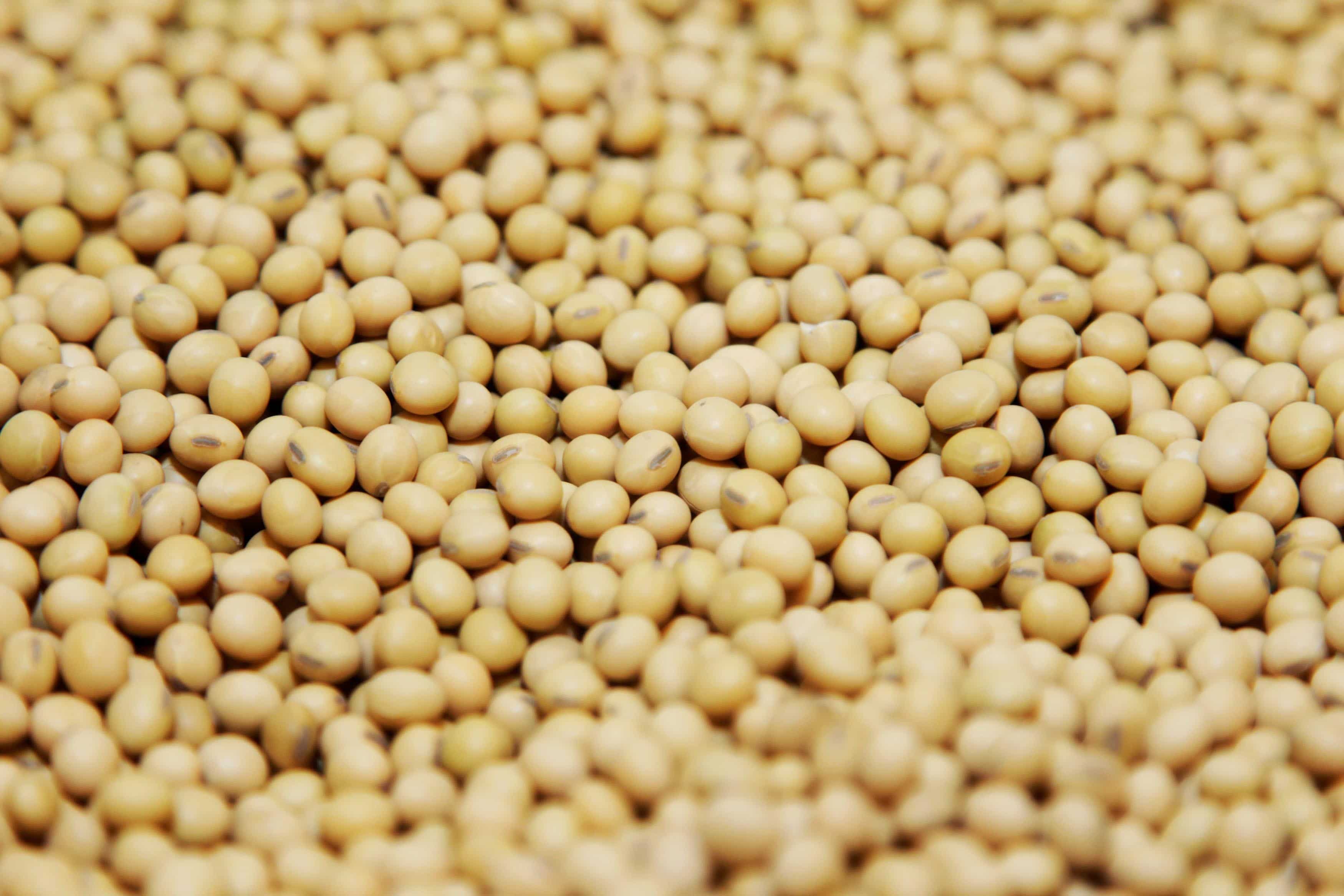 Monsanto lobbies with US lawmakers on Indian regulatory issues