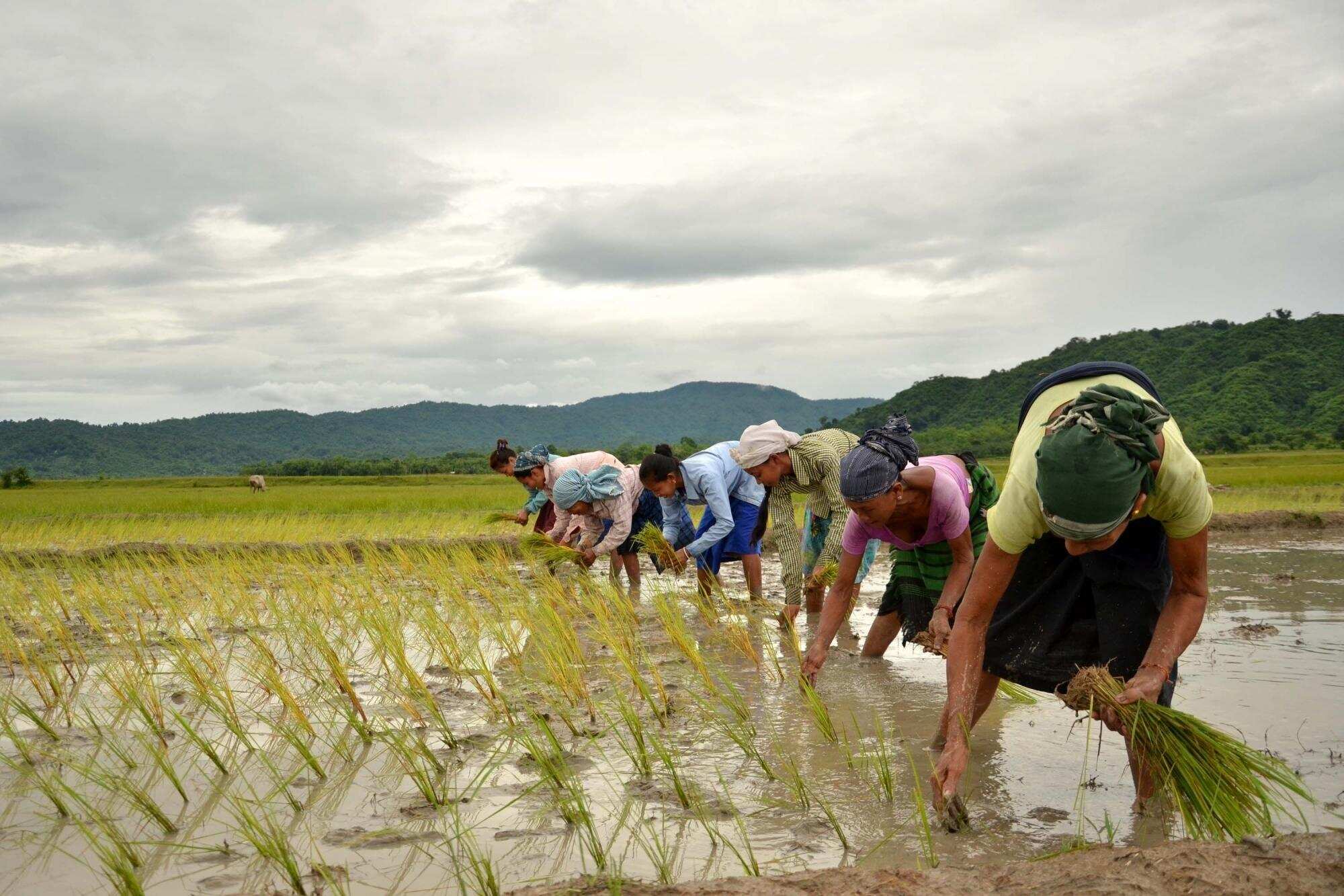 Govt earmarks nearly Rs 1,000 crore to double farmers' income