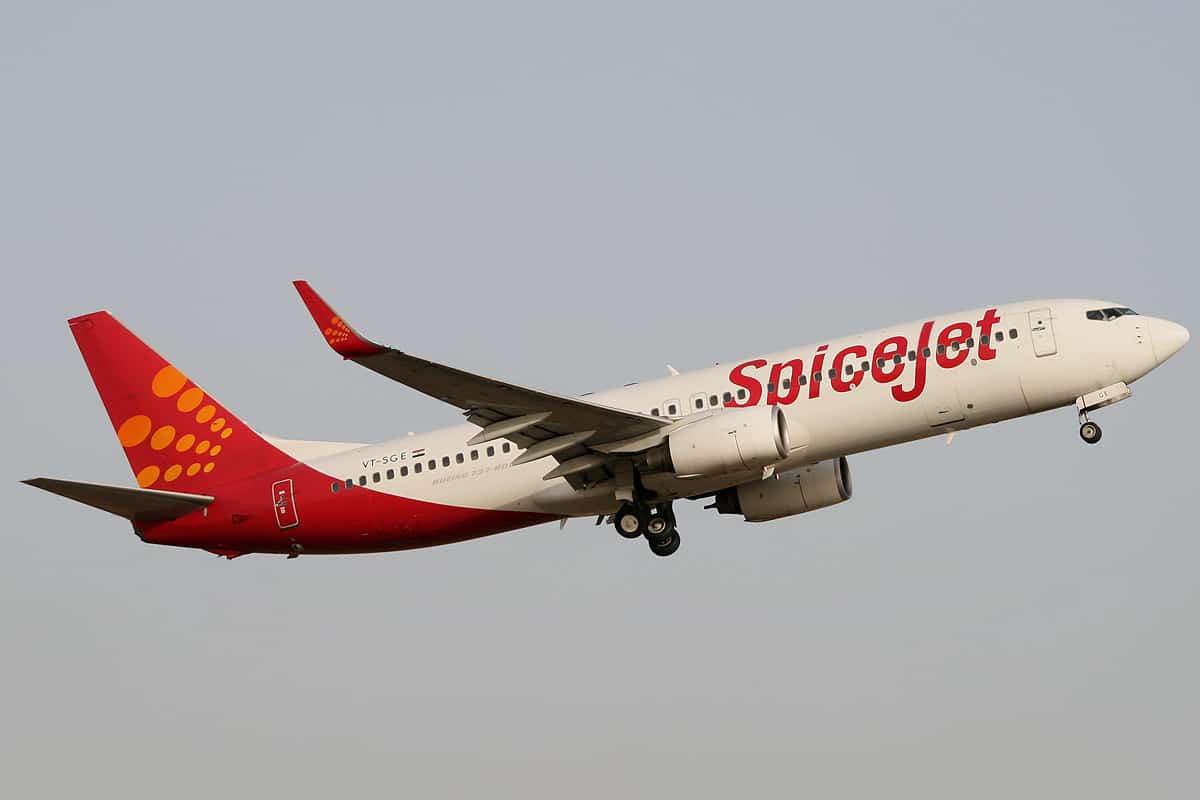 SpiceJet reports 104% jump in net profit; shares fly high