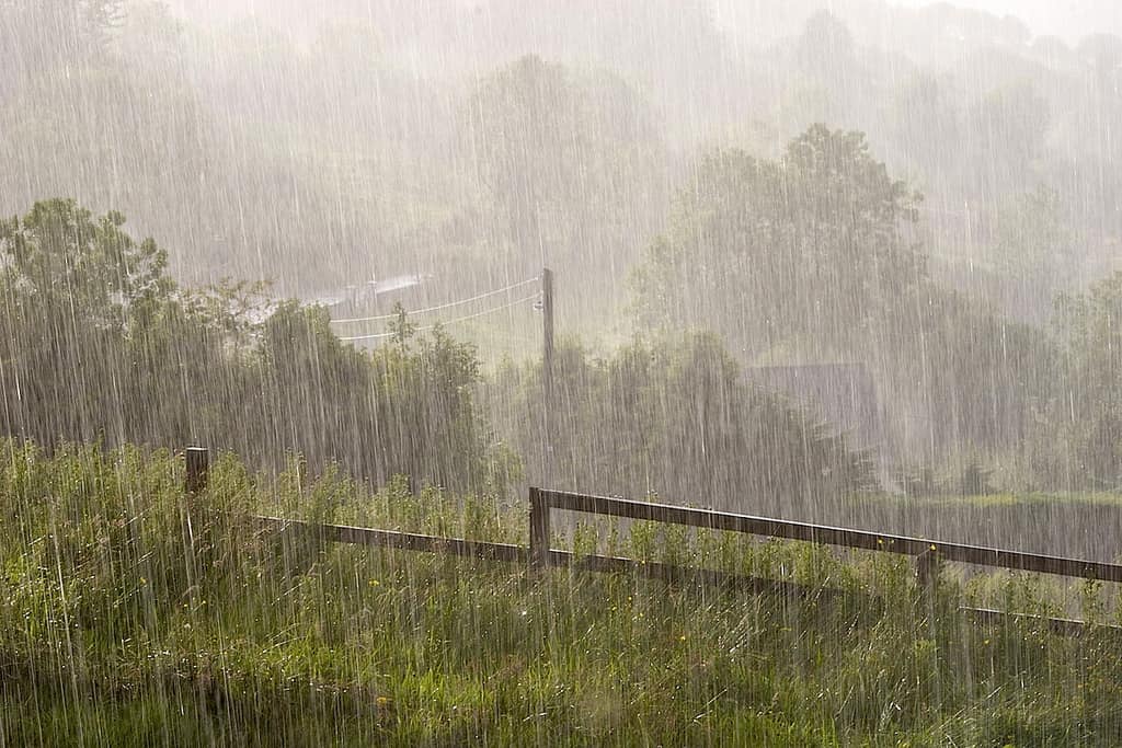 August rain falters but won't impact agri output