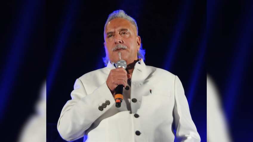 Vijay Mallya flew away just like 'Kingfisher' bird: Bombay HC