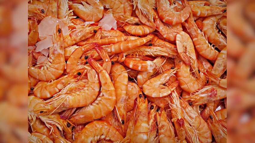 Export of marine products projected to increase by 20% to $5.6 billion in FY17