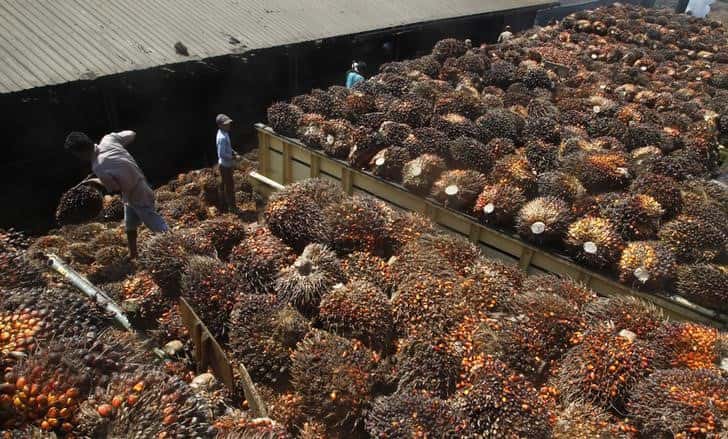 Cash crunch to hurt Indian palm oil imports