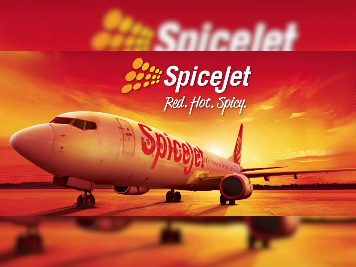 SpiceJet&#039;s profit rises 103%, shares crash but recover