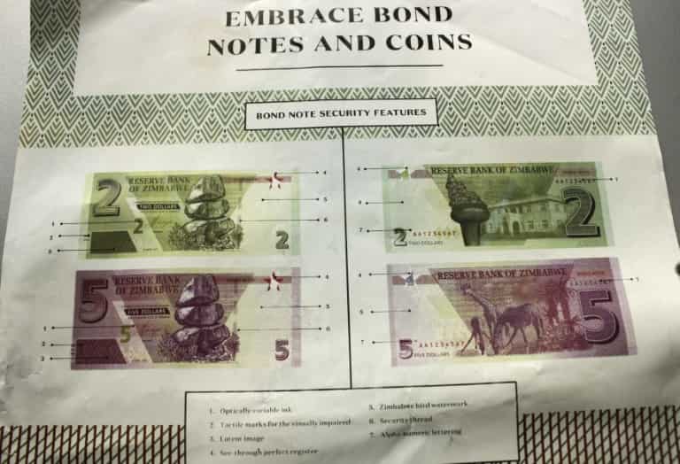 Zimbabwe rolls out 'surrogate' dollars amid unease  