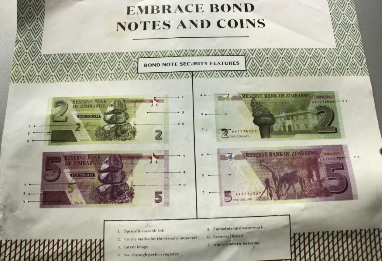 Zimbabwe rolls out 'surrogate' dollars amid unease