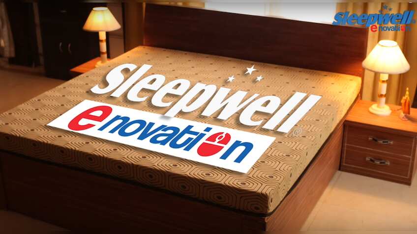 Should you invest in Sheela Foam IPO? 