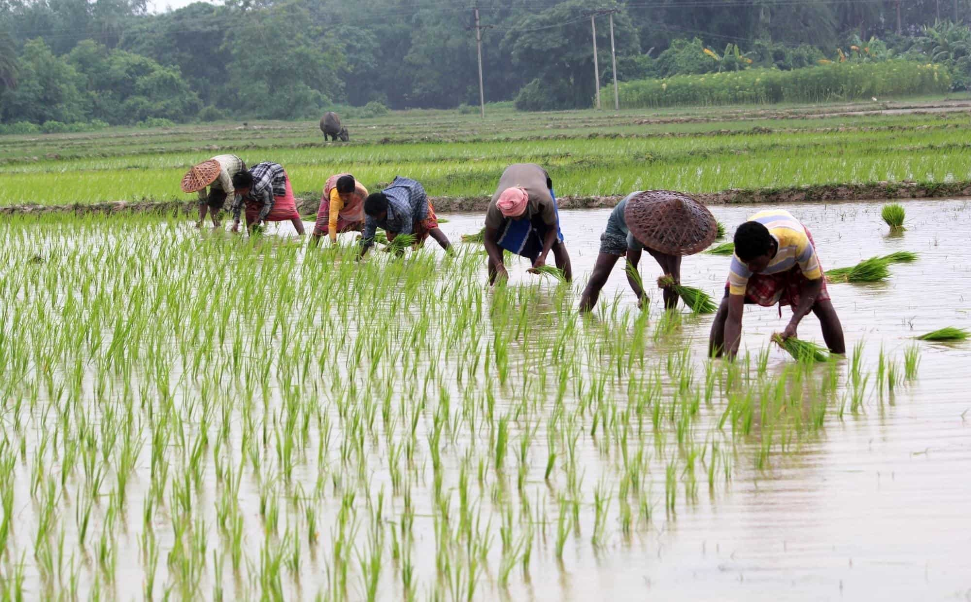 RS members seek more time for farmers to payback crop loan | Zee ...