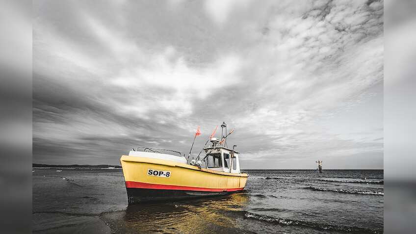 Notebandi frontlines: Sales fall, anger rises; why the fishing industry can't go cashless