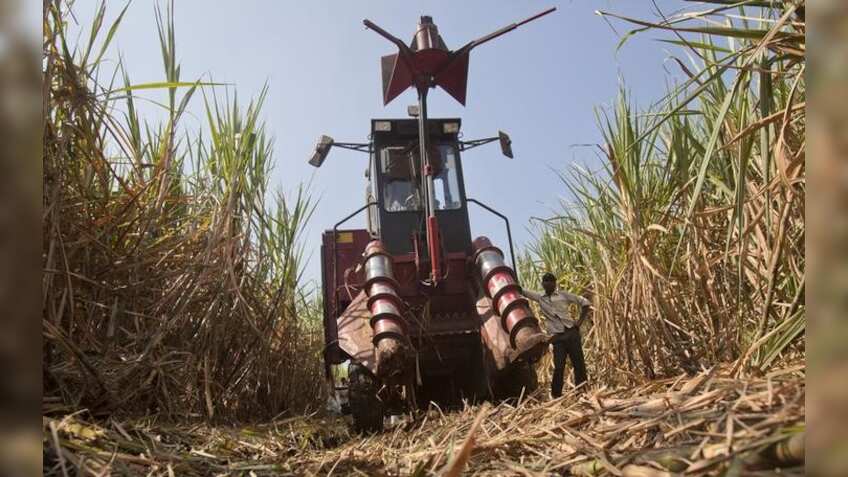 Sugar mills shut early as drought hits cane crop: Trade body