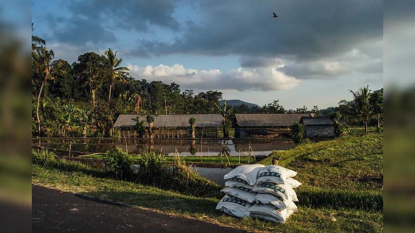 Fertiliser Minister seeks Rs 20,000 crore of special banking facility for industry