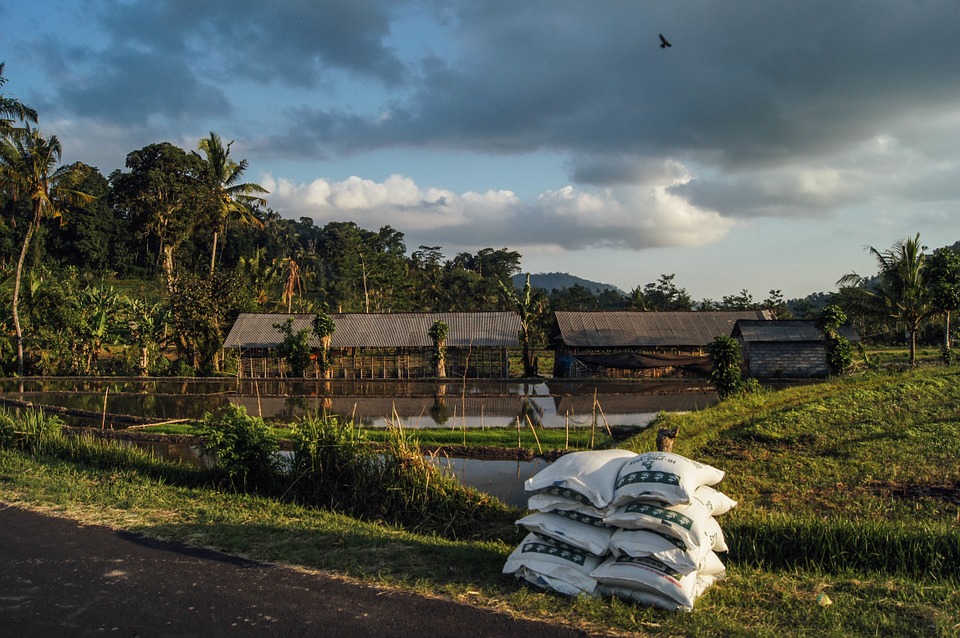 Fertiliser Minister seeks Rs 20,000 crore of special banking facility for industry