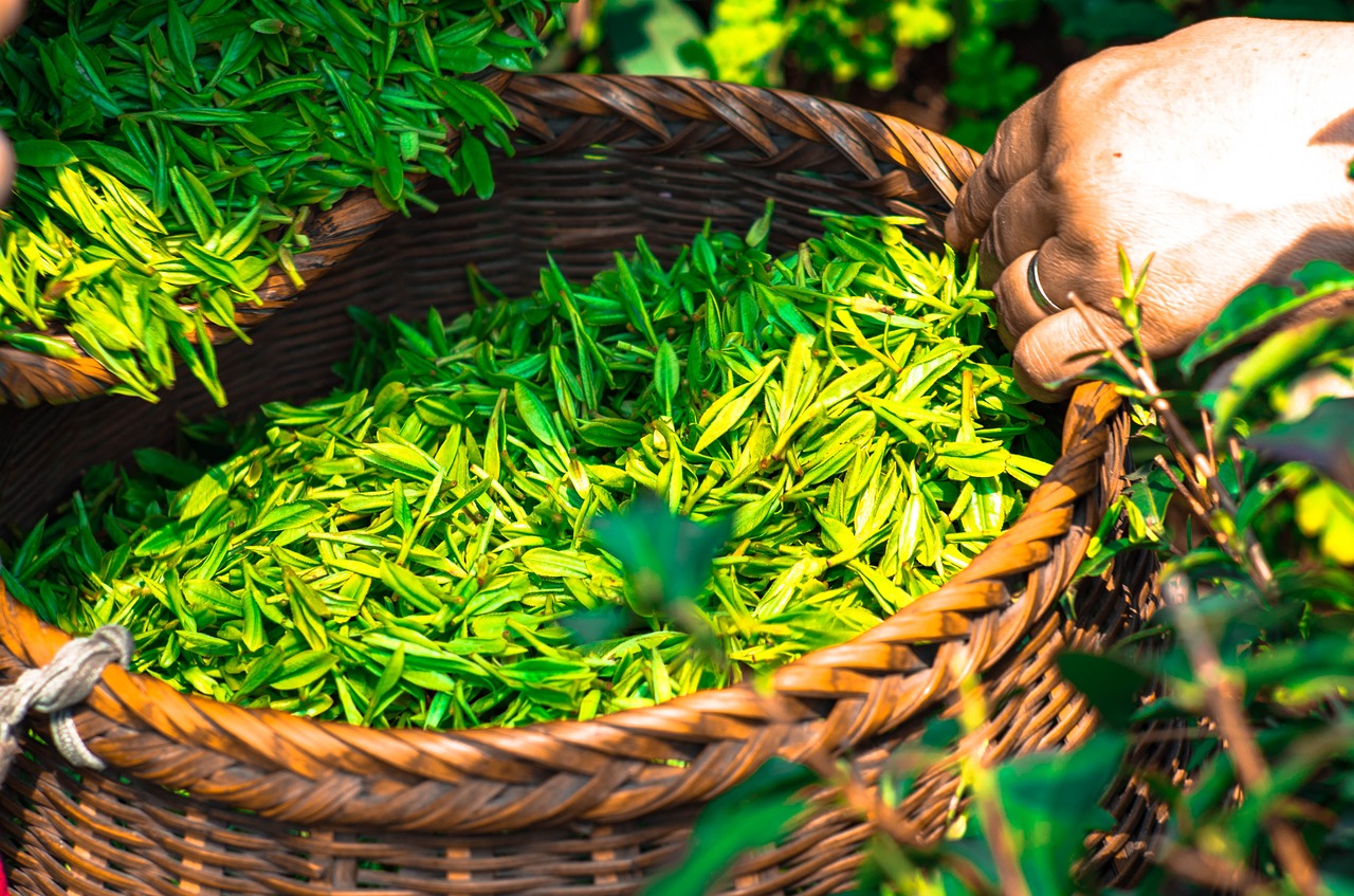 Tata Global Beverages to sell stake in Zhejiang Tata Tea for Rs 33 crore