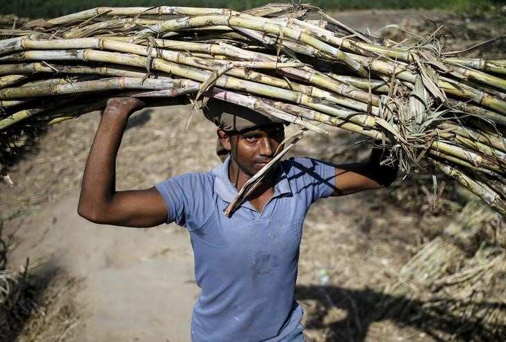 India rules out lowering sugar import tax in near term, says government source