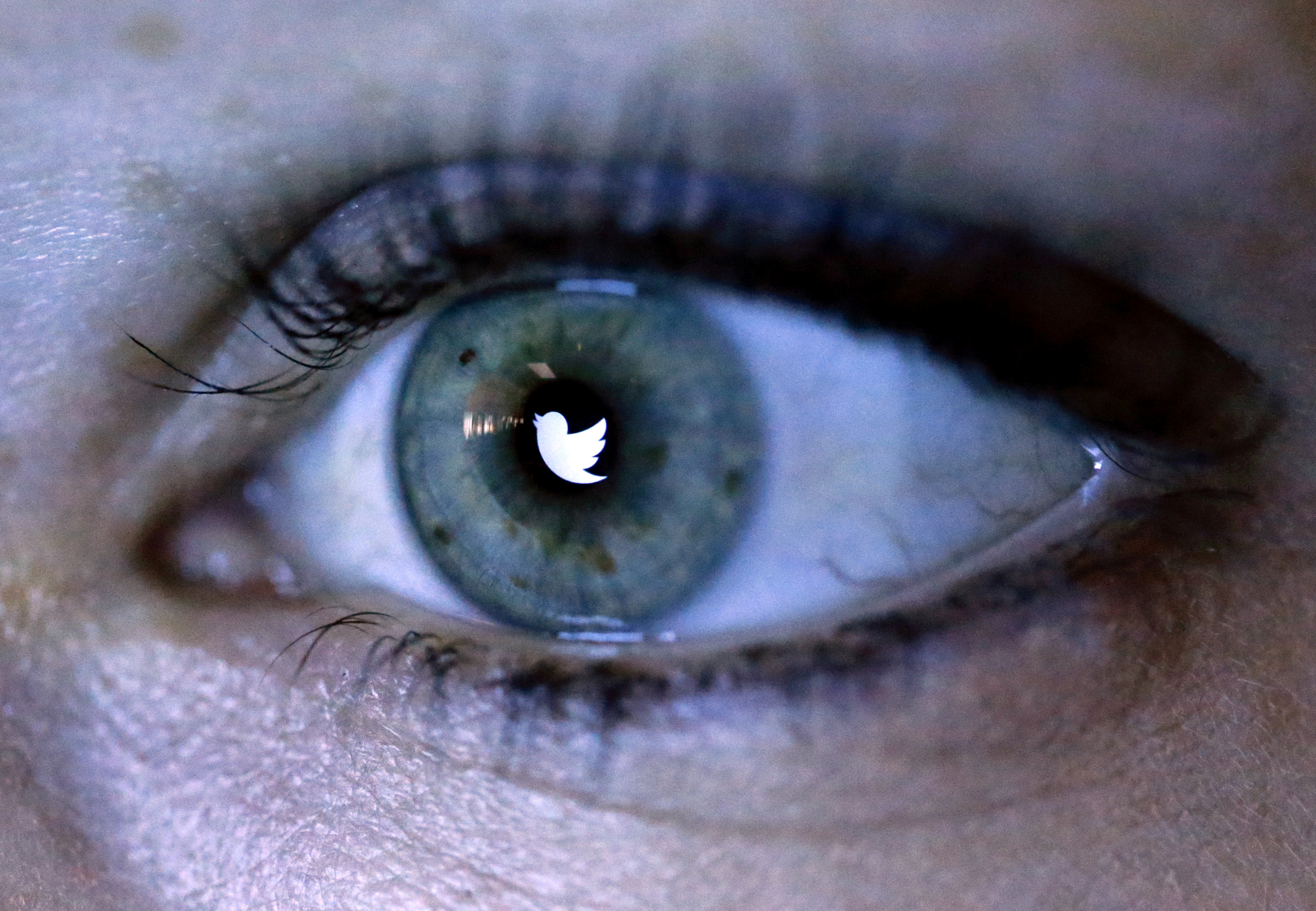 Safer Internet Day: Twitter tries to control trolls, again