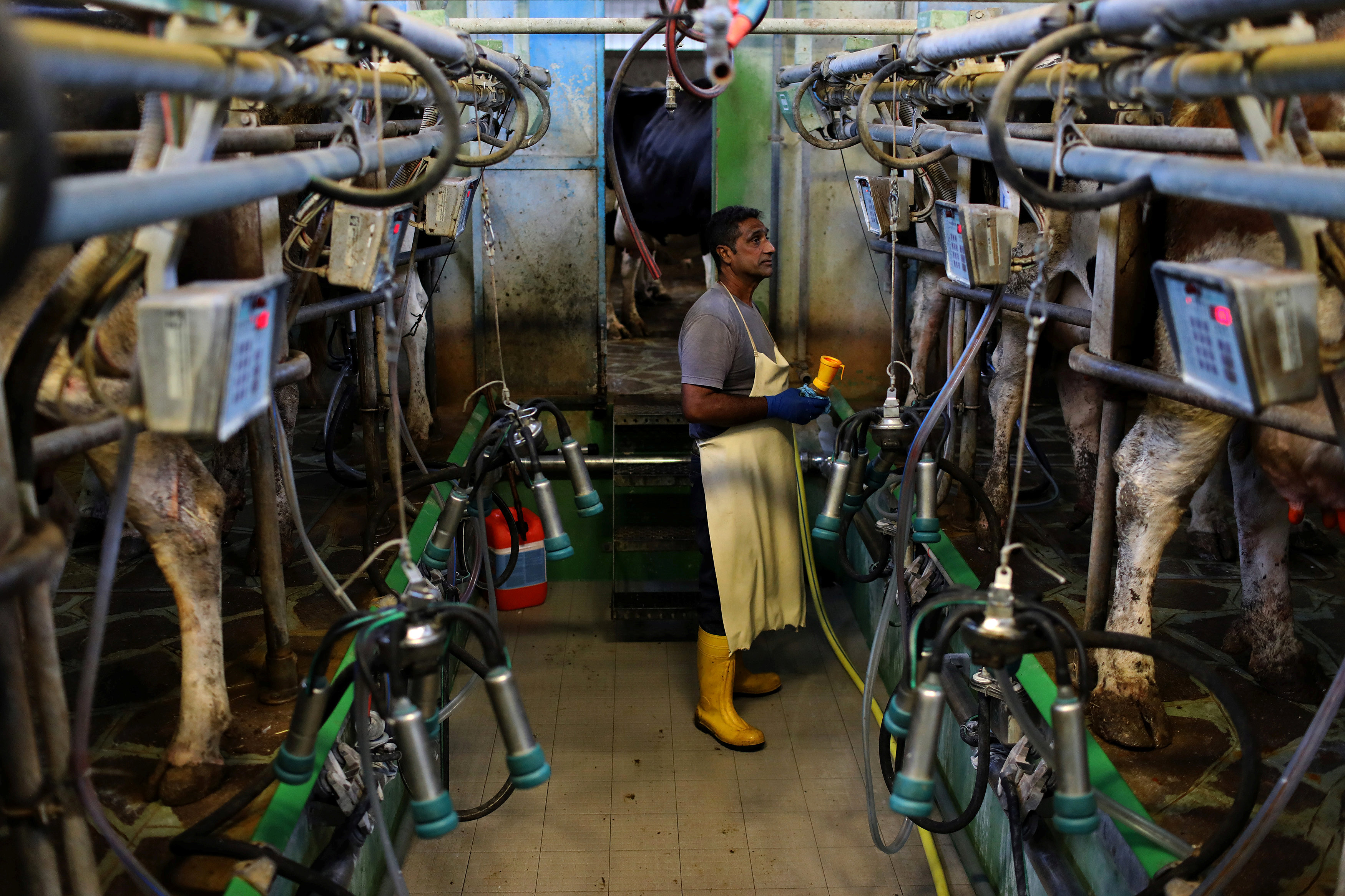Factory output in December falls by 0.4%