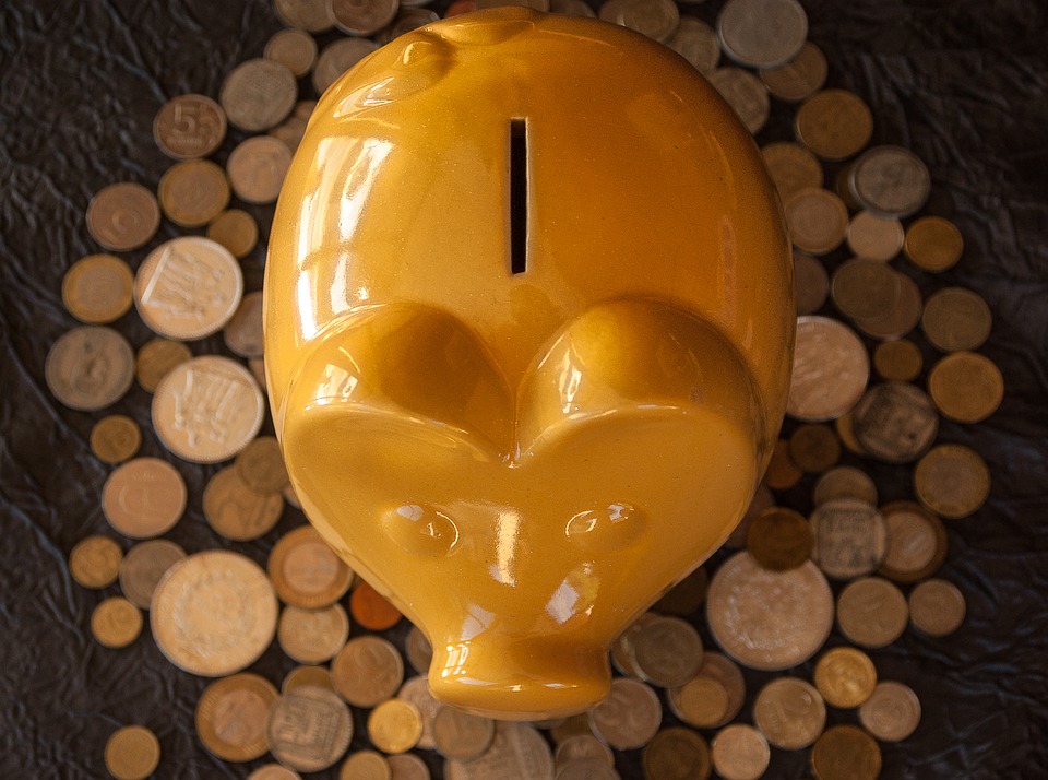 Save income tax: PPF vs NSC