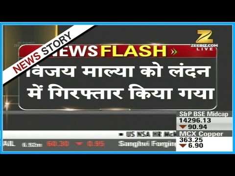 Vijay Mallya, Who Fled India In 2016, Arrested In London, Granted Bail