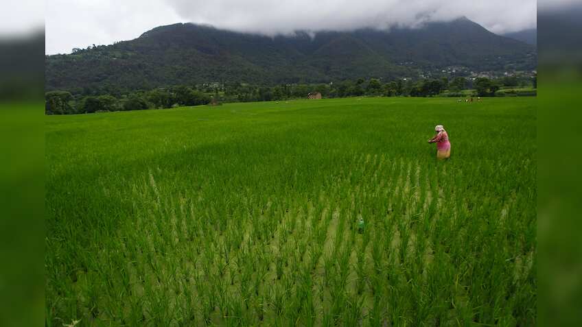 Investors bet on fertiliser stocks as IMD predicts good monsoon